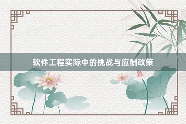 软件工程实际中的挑战与应酬政策